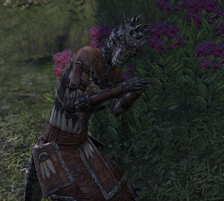 Карта в галерее