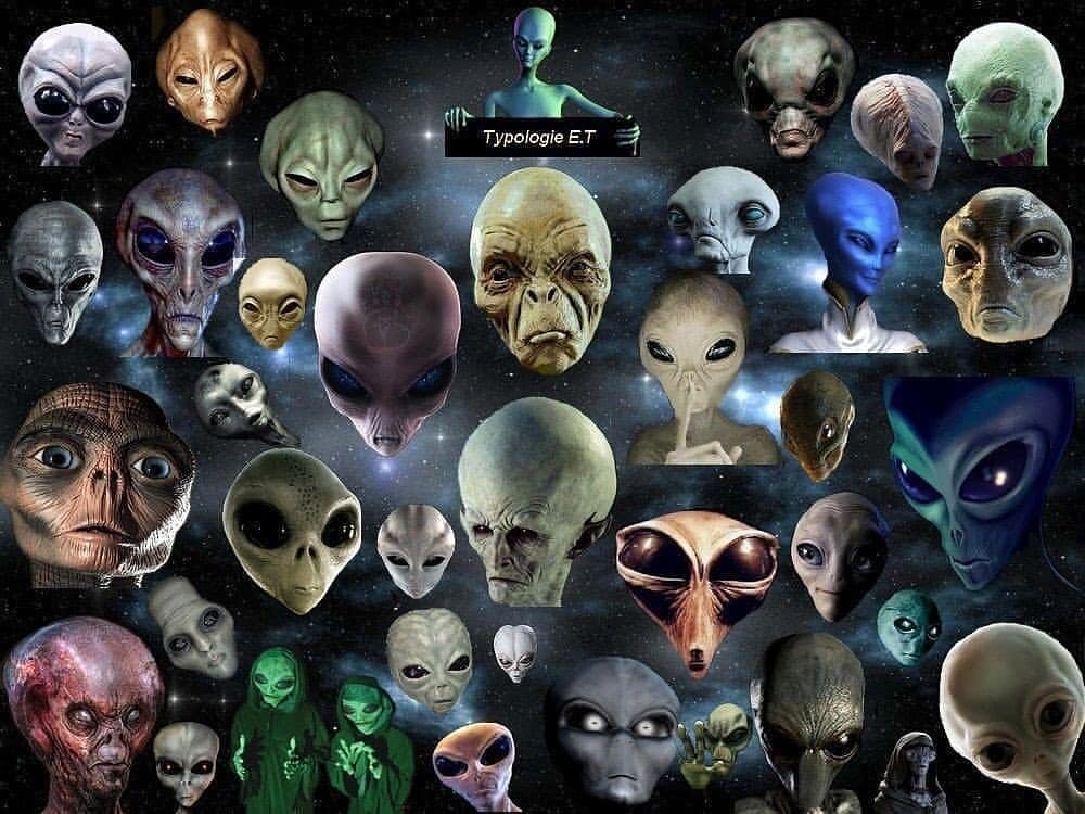 Картинка из открытых источников