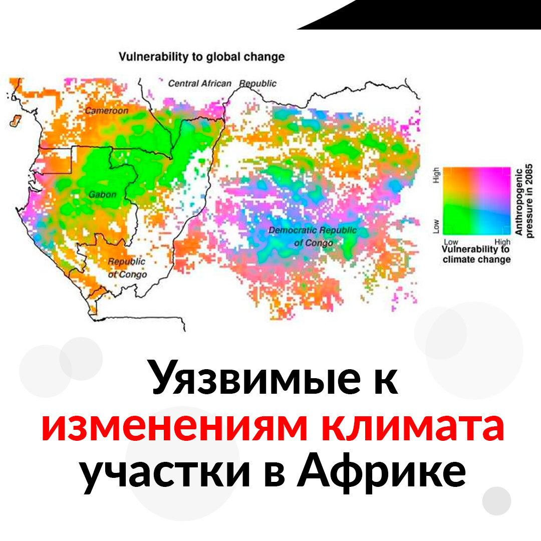 Цветовой график уязвимости лесов Центральной Африки к изменению климата и антропогенному воздействию к 2085 году. Фиолетовые области наиболее уязвимы к изменению климата и влиянию человека; зеленые области наименее уязвимы к обоим факторам; синие области наиболее уязвимы к изменению климата и менее уязвимы к антропогенному воздействию, оранжевые наоборот.