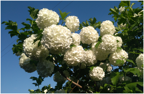 Ставьте лайки и подписывайтесь на мой канал.