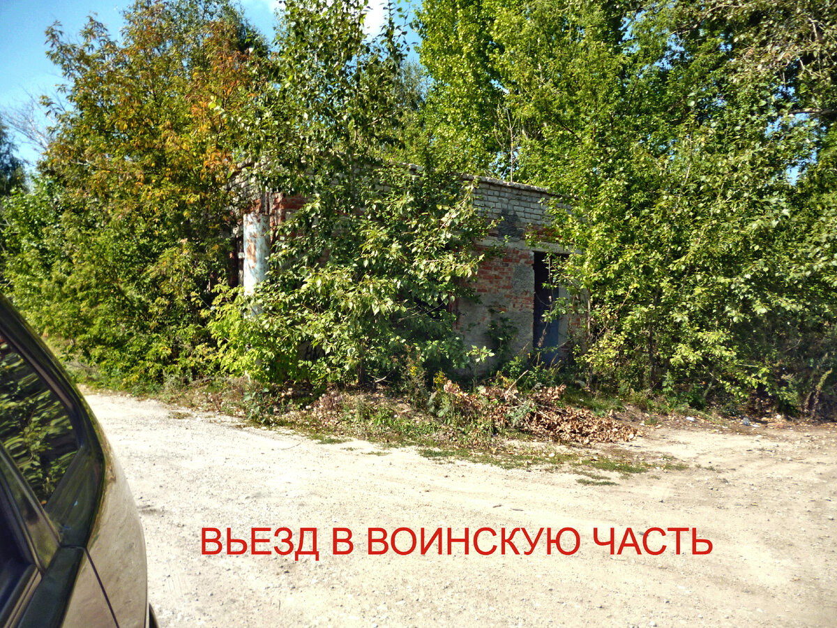 Фото из личного архива Автора.