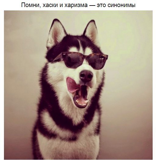 К слову о харизматичности)