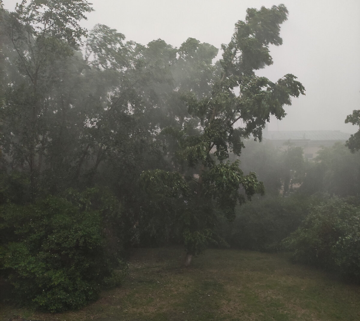 Ливень стеной! Где-то в той стороне от дождя прячется Сергей Лазарев