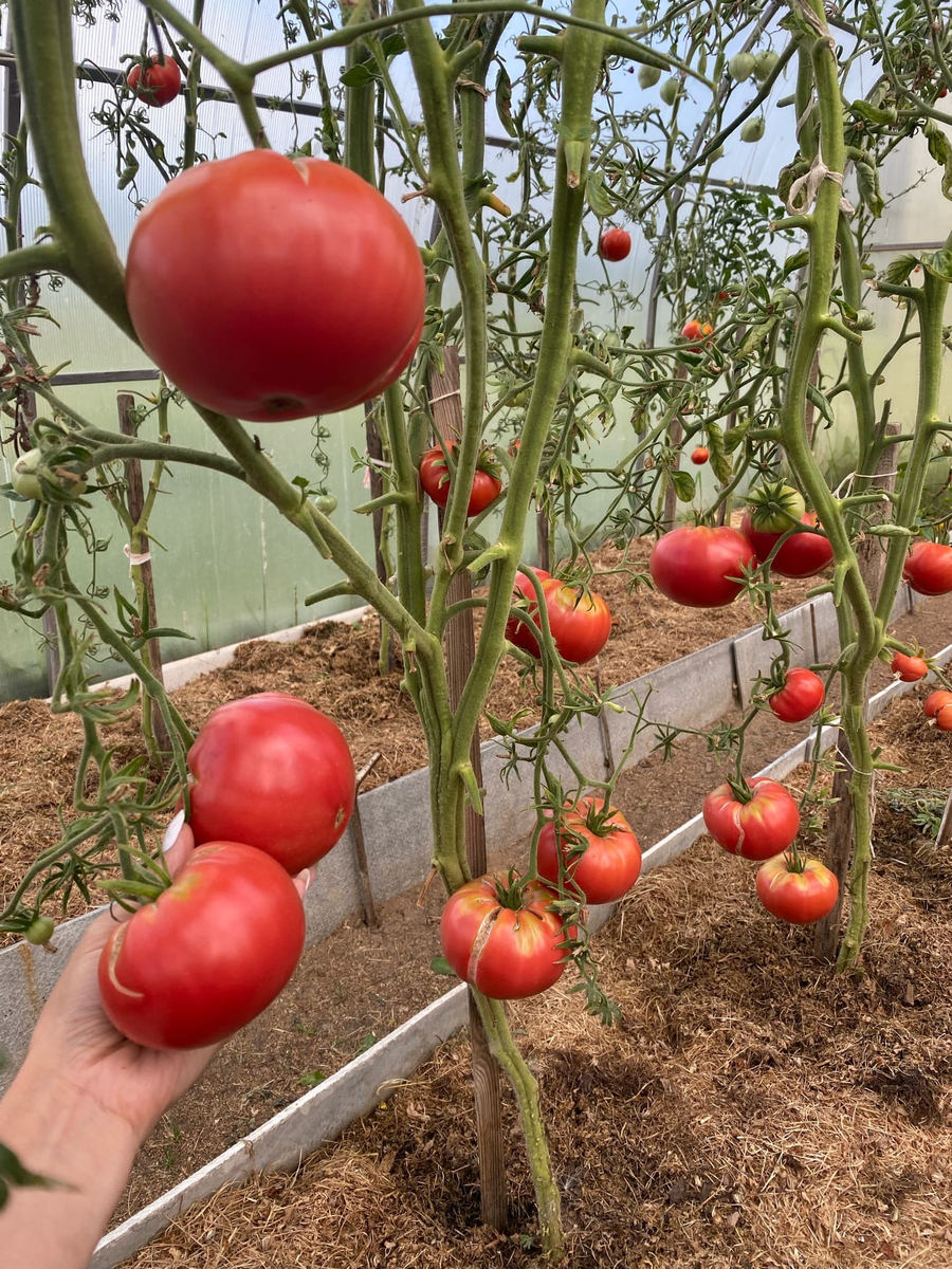 Фото из личного архива 