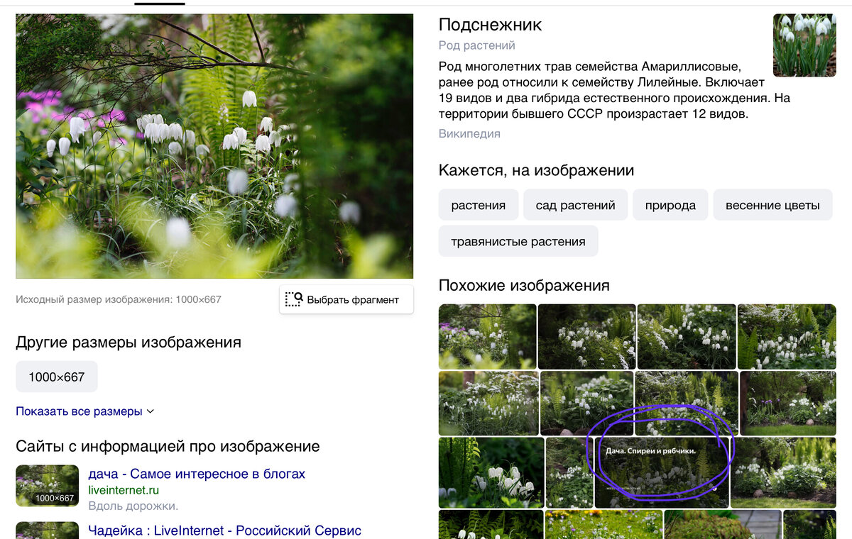 Определить цветов по фото с камеры