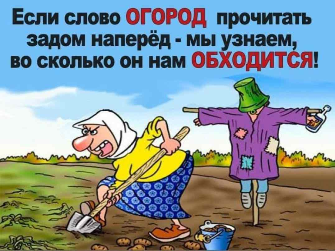 не скучно