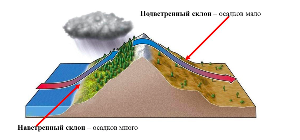 Какая разница между погодой