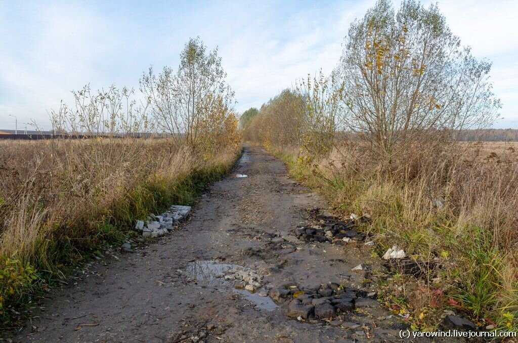 Московская область, Рождественский погост, дорога к погосту