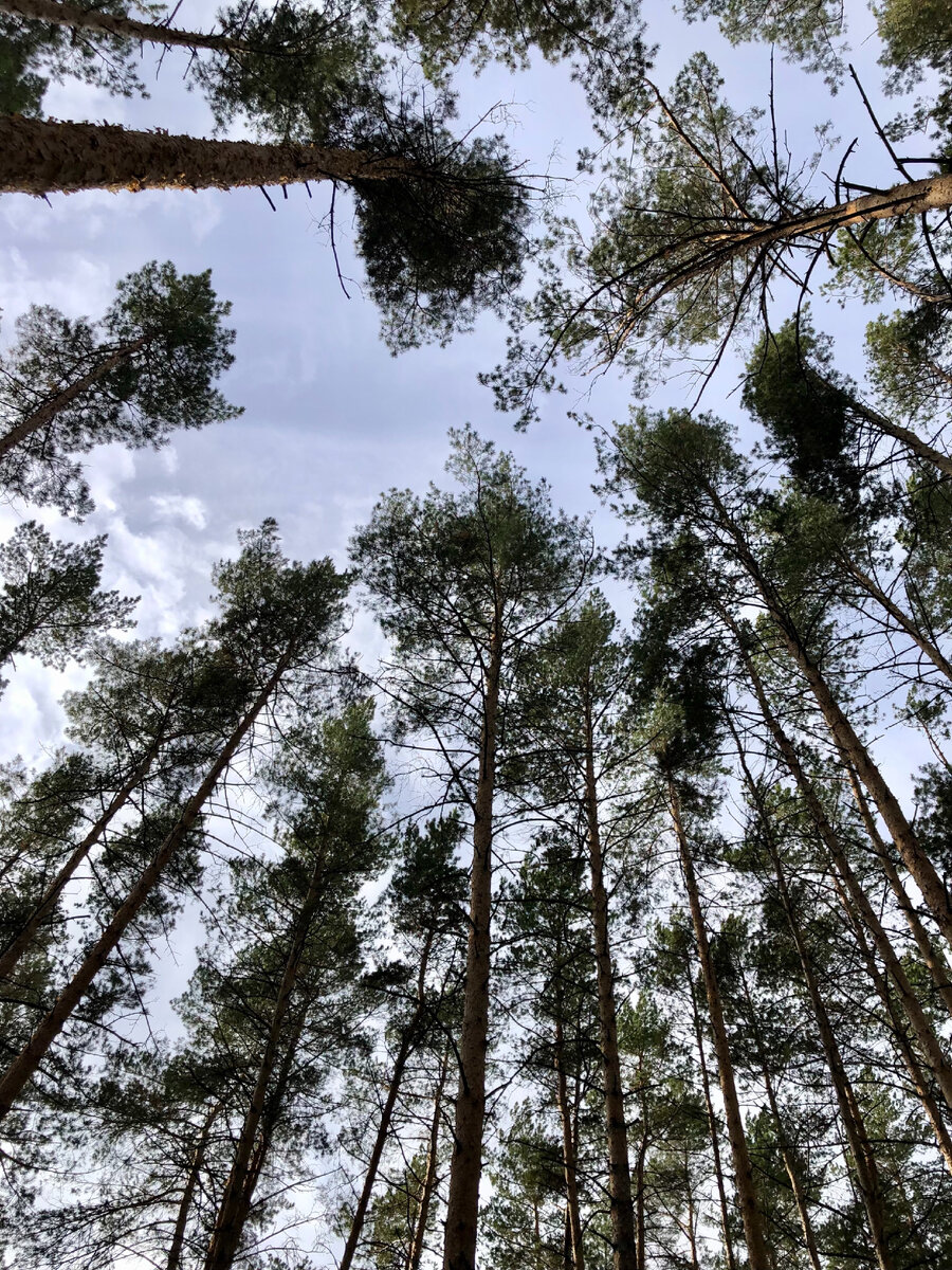 Фото из личного архива 