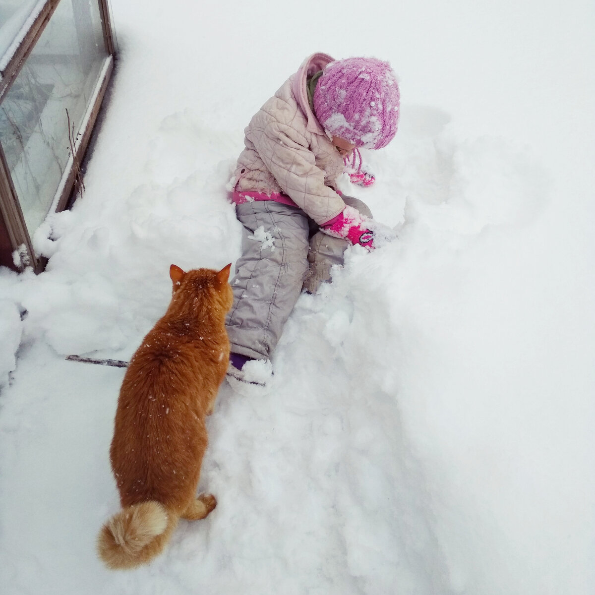 жарить шашлык под дождем. холодно на даче летом. ливень на даче. туман летом в деревне. девчонки на даче.