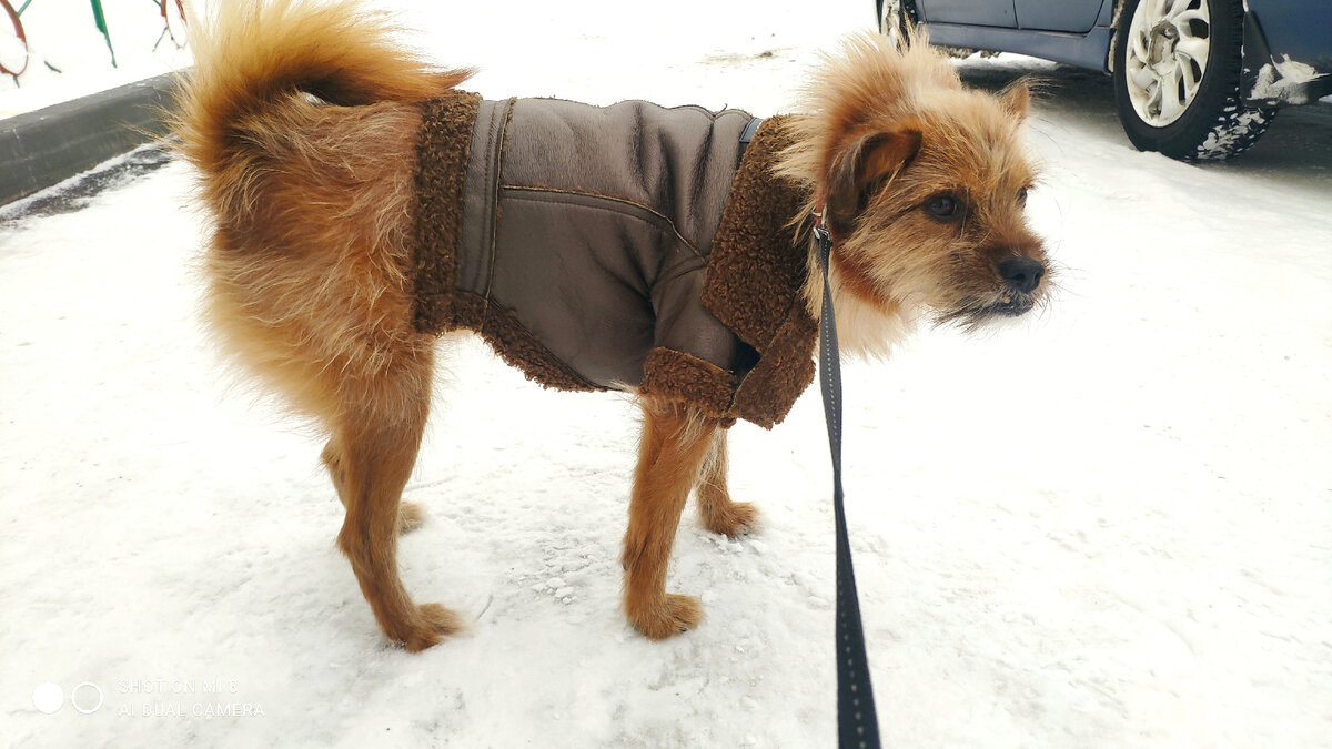 Наденет то одну  шубку