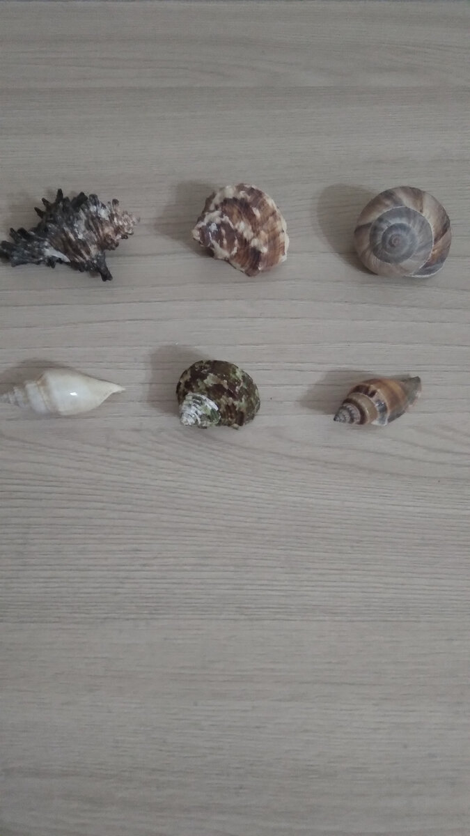 Фото собственное