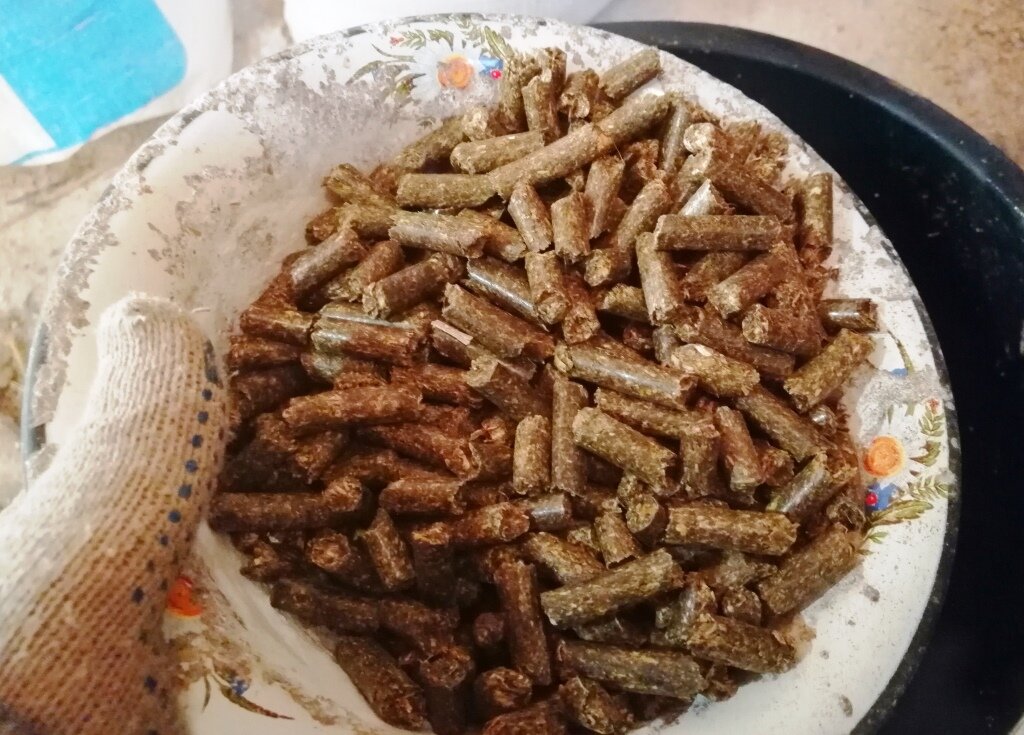 Чашка люцерны