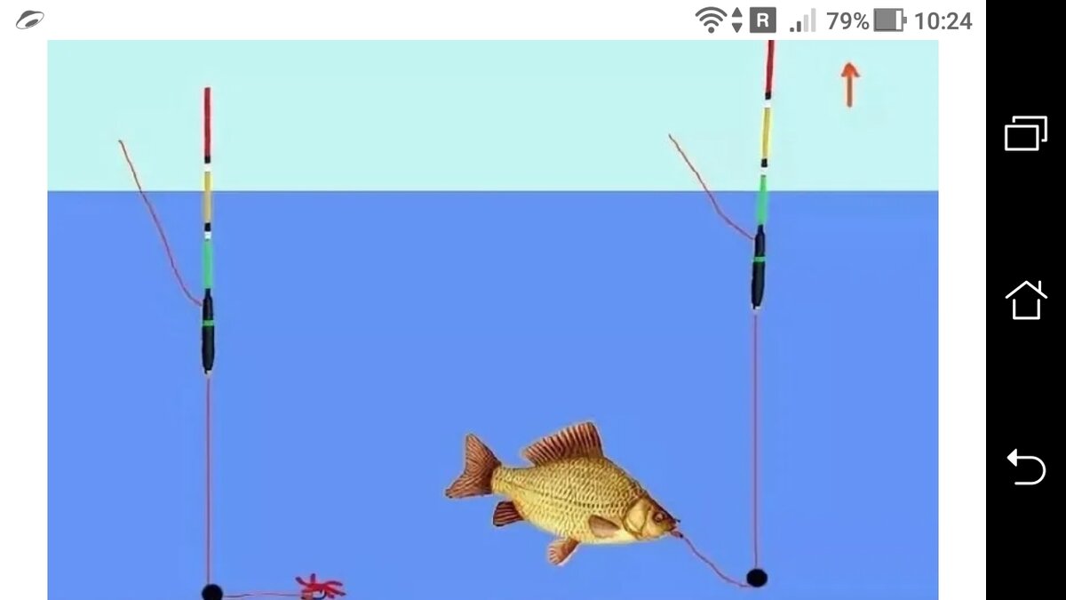 Поплавок для рыбалки на карася