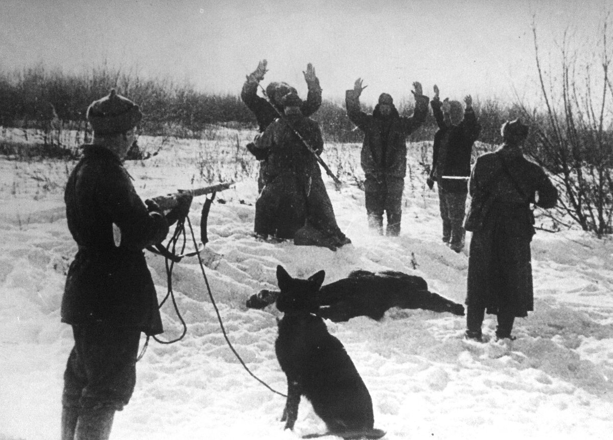 Источник: history-doc.ru