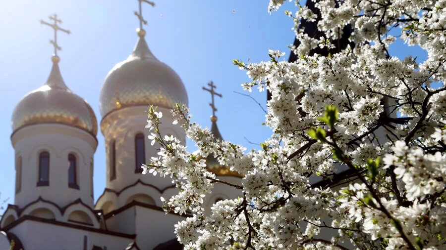 Троица является еще и праздником природы. Фото: Pxfuel.com 