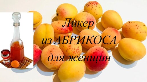 Ликер из абрикоса для женщин