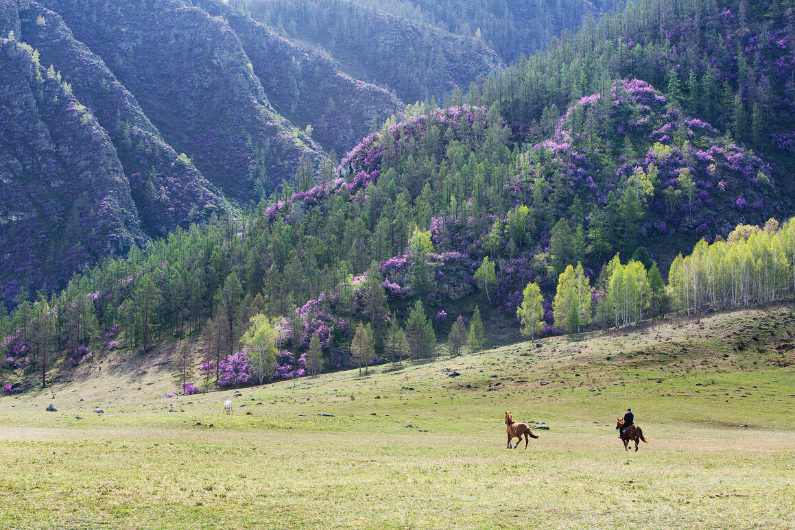 Алтай в апреле фото