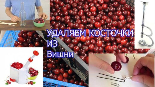 Шьем лоскутную грелку с вишневыми косточками: Мастер-Классы в журнале Ярмарки Мастеров