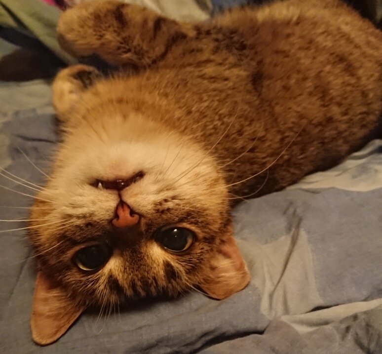 Фото из личного архива автора.