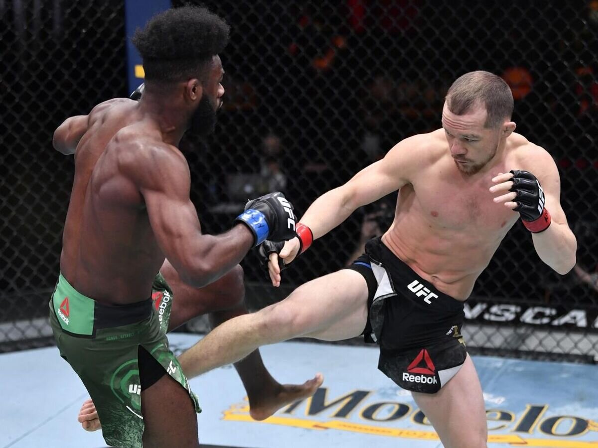    Петр Ян (справа) в бою с Алджамейном Стерлингом© Фото : UFC/Zuffa LLC