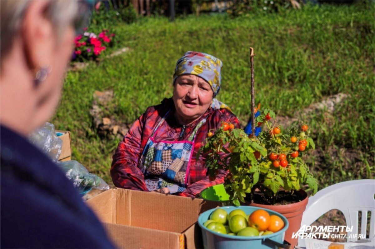    Забайкальцы показали свой урожай на ярмарке «Золотая сотка»
