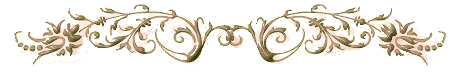 -6