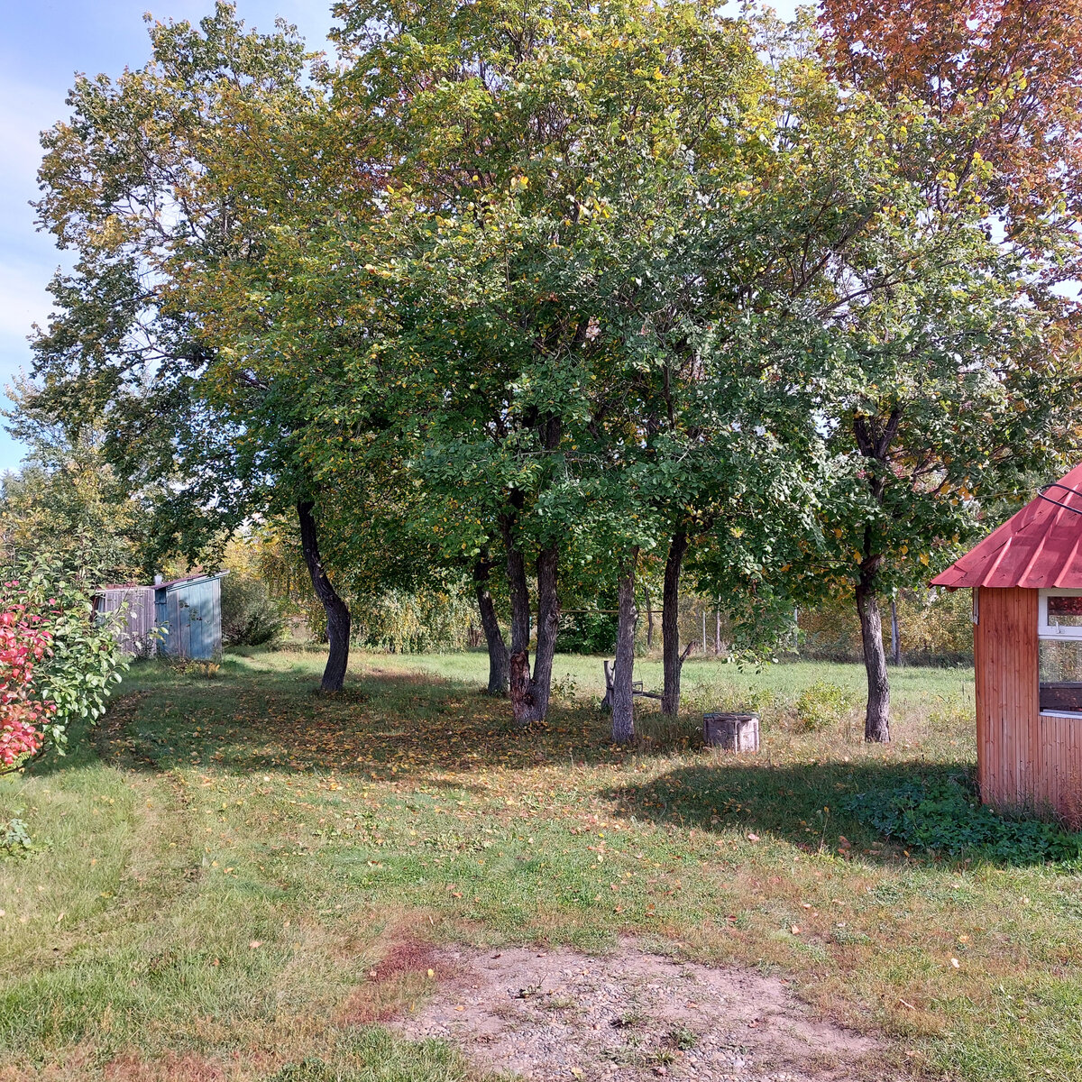 Участок такой, что большую часть мы просто косим.. Так решили...