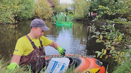 Как очистить пруд на дачном участке