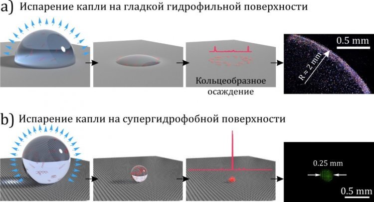 Видимая поверхность. Гидрофильные и гидрофобные поверхности. Супергидрофобных поверхностей. Гидрофильность и гидрофобность поверхностей. Гидрофилизация поверхности.