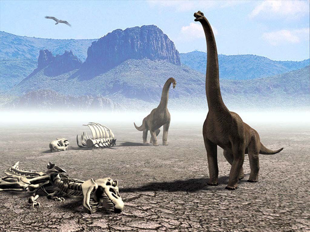 Почему вымерли динозавры? Объясняем ребёнку