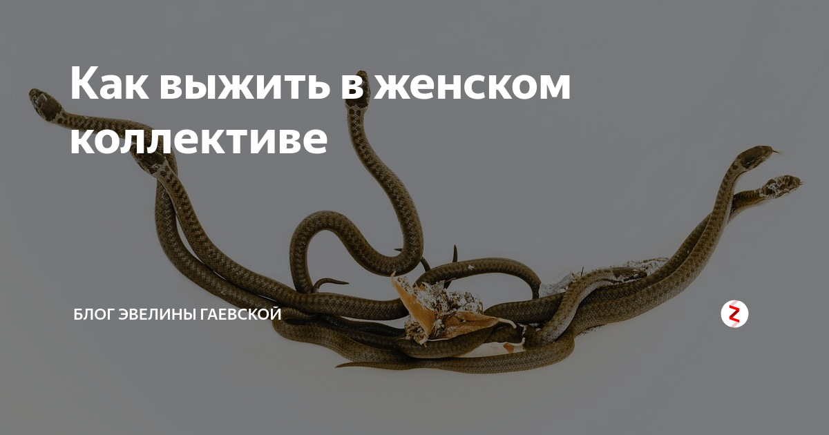 Ой... ПреЛЮДИи чувств Фотострана Пост № 2651578283