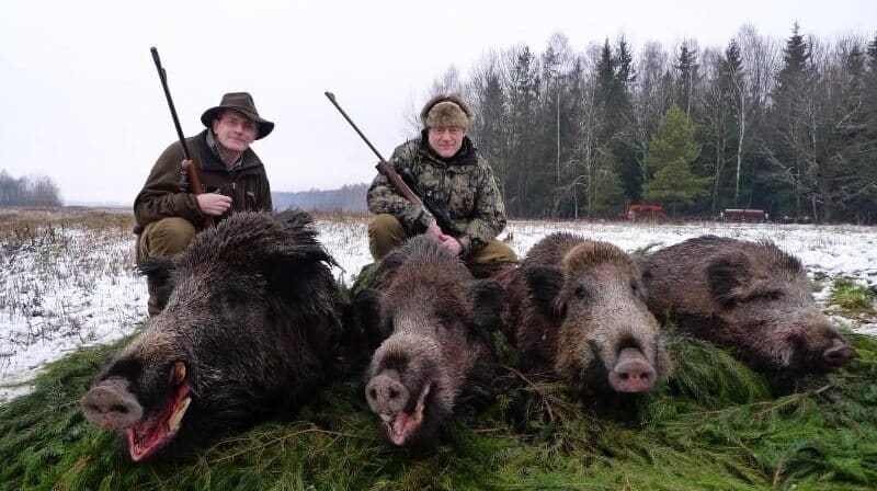 парниковый эффект плюсы и минусы. минусы охоты. самоделки для охоты на уток. плюсы тепловизора. кошки охотники.