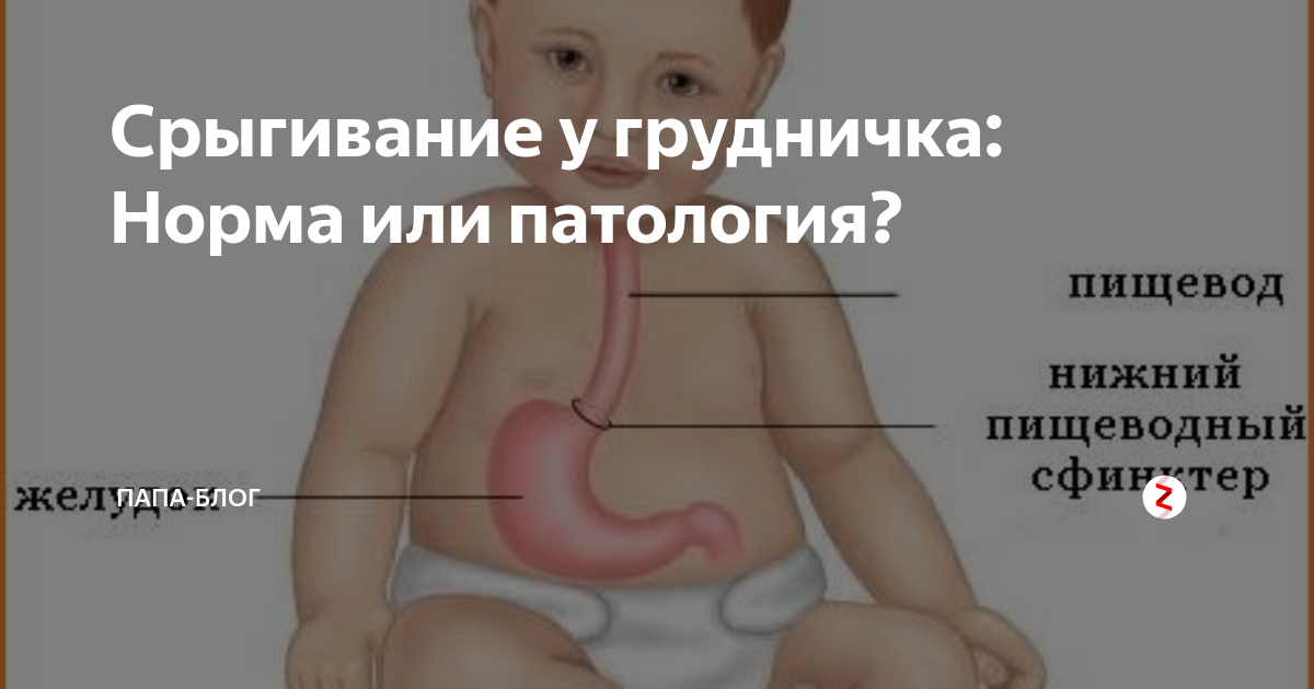 Срыгивание у грудничка: Норма или патология? Папа-блог Дзен