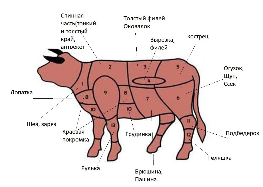 Туша коровы схема