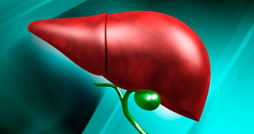 Лечебное питание при циррозе печени. Диета при циррозе печени - что можно есть и что нельзя?