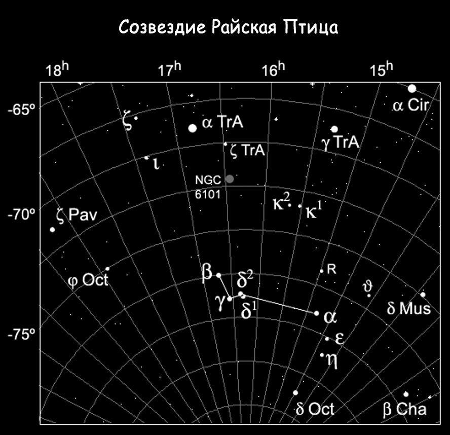 Созвездие Райская Птица