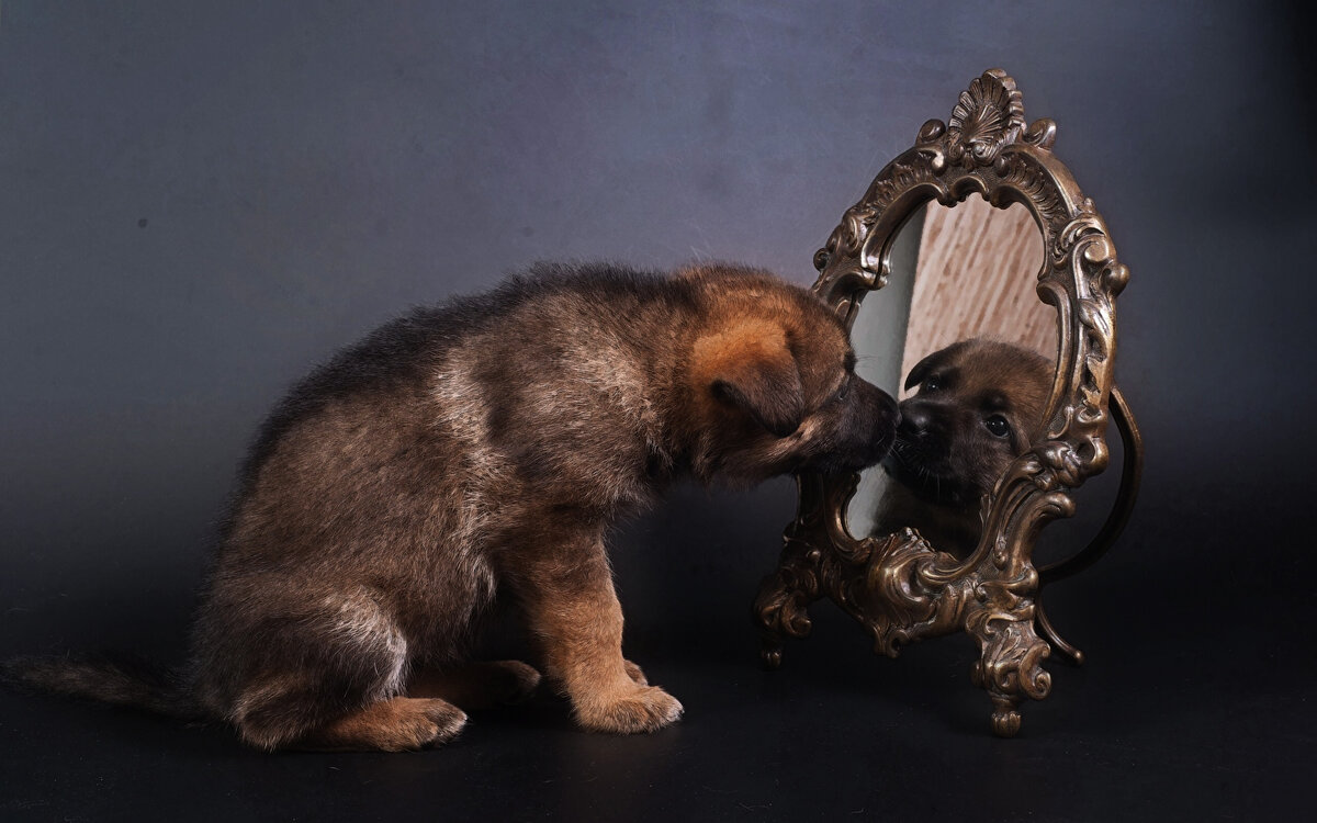 Притчи, поучительные истории