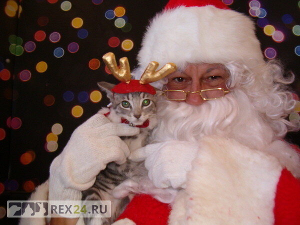 Фото: соцсети