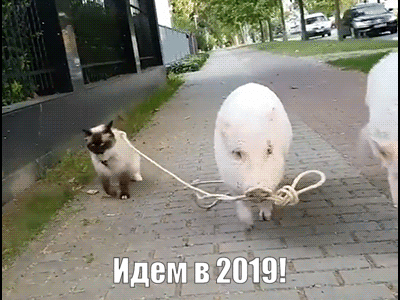 Gif из свободных источников "дополнена каналом Рыжик"