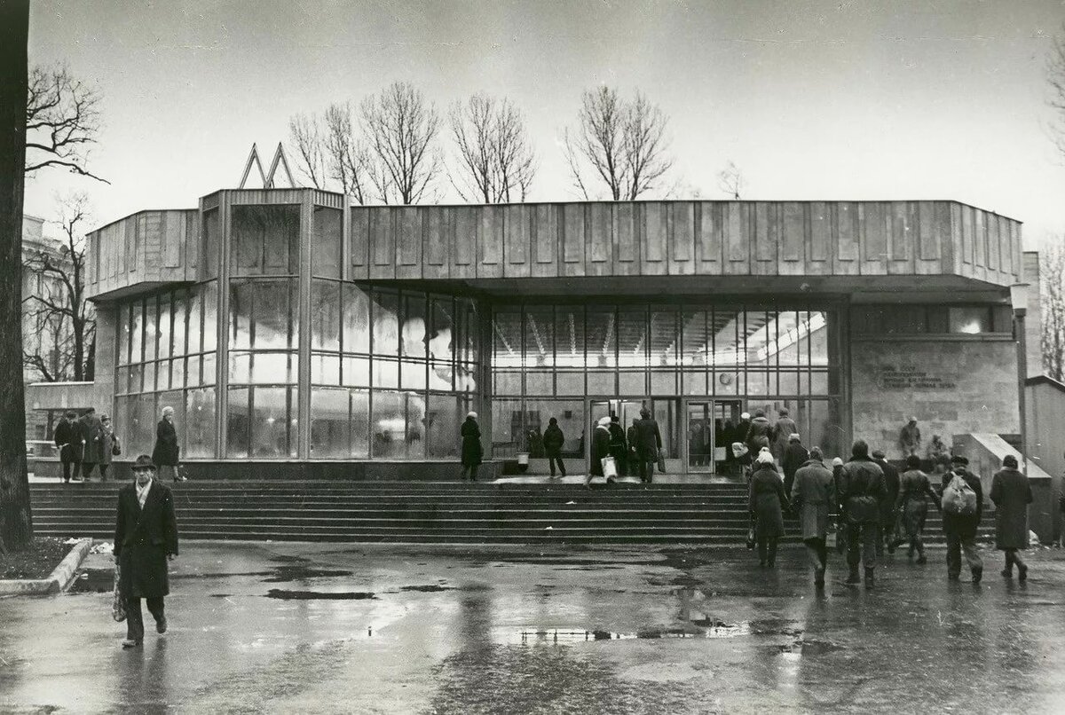 Картинка из открытого доступа     