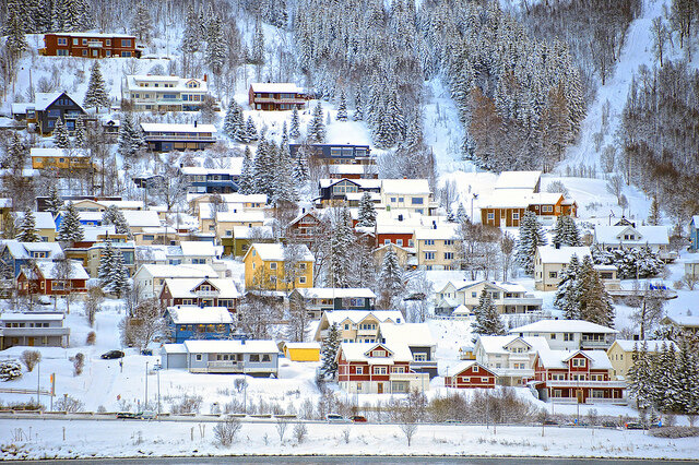 Фото с сайта: flickr.com