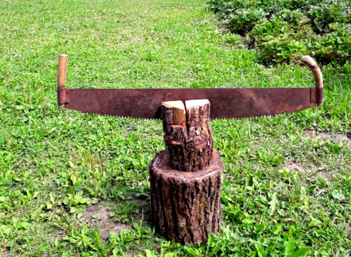 Дружба 2. Фото Яндекс.Коллекции.