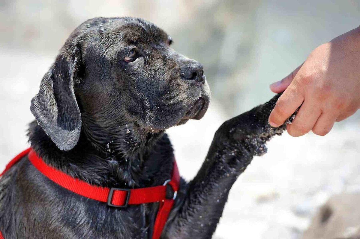 Изучение позитивного подхода