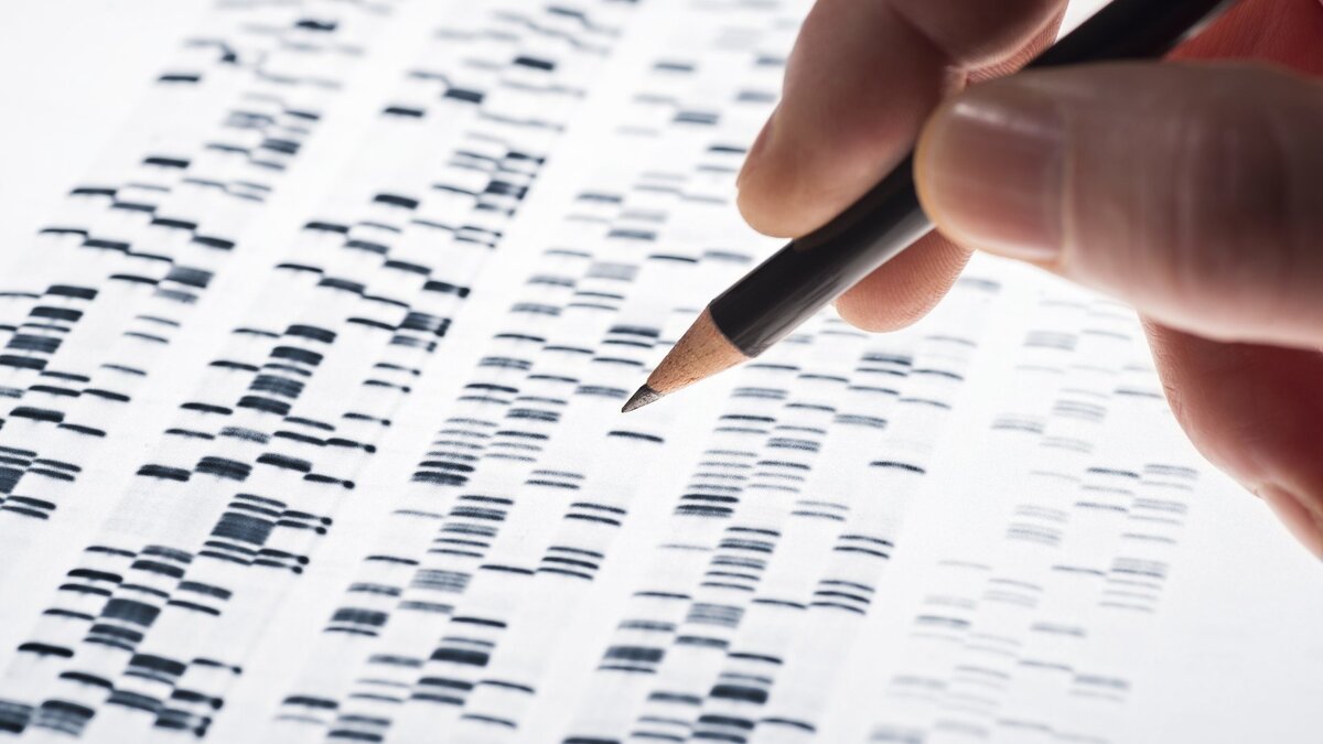  
Клинические испытания технологии редактирования генов CRISPR на сегодняшний день проводятся сразу в нескольких странах

Фото Global Look Press.
