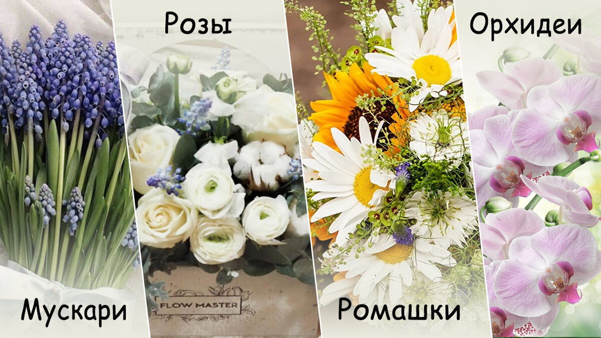 Цветы, которые понравятся Весам