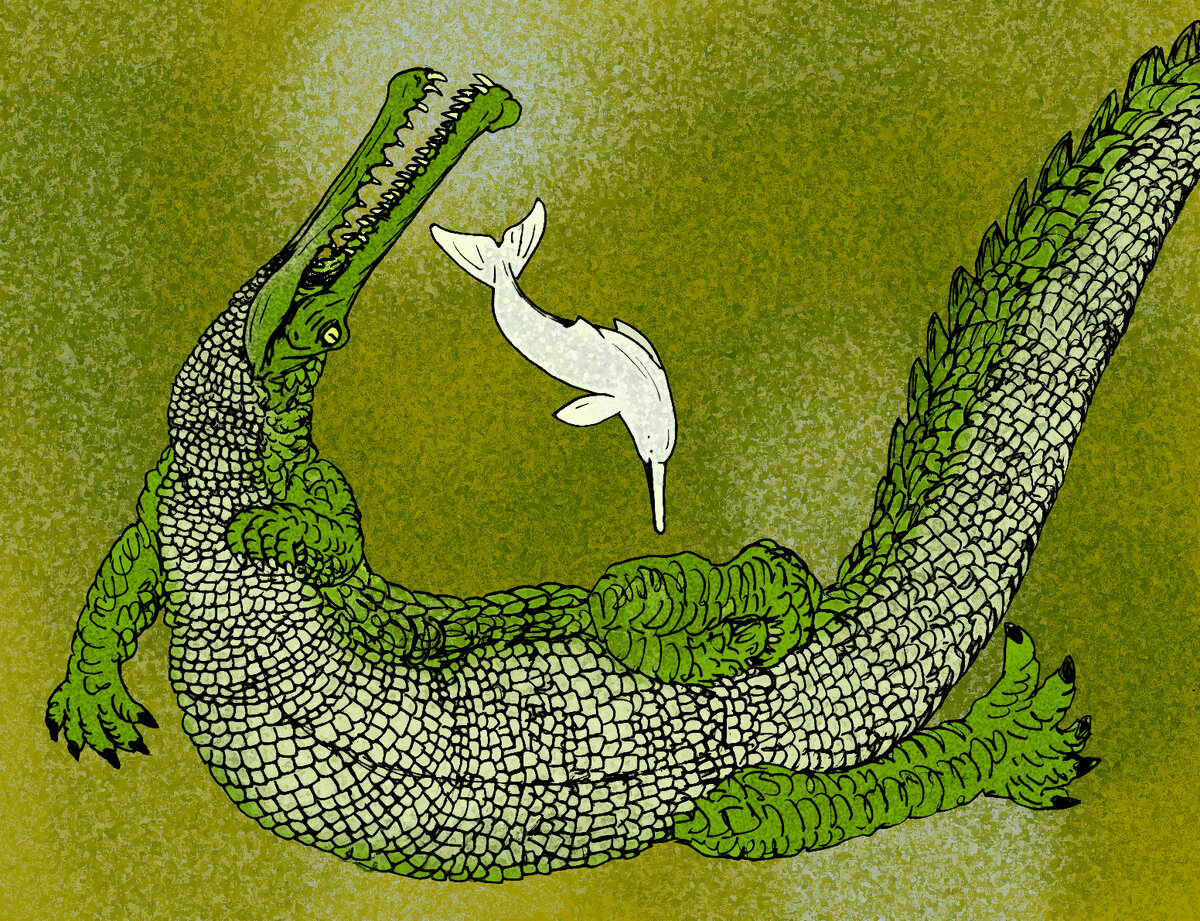 Изображение Rhamphosuchus (Рамфозух, рамфосух, рамфосухус) 