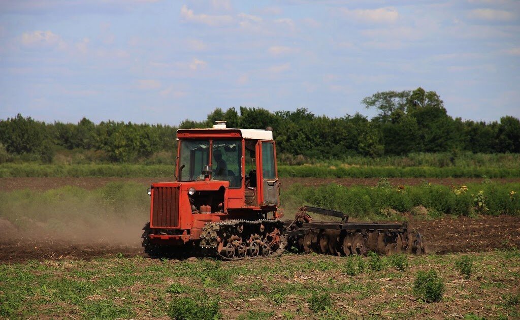 Источник: Яндекс Картинки.