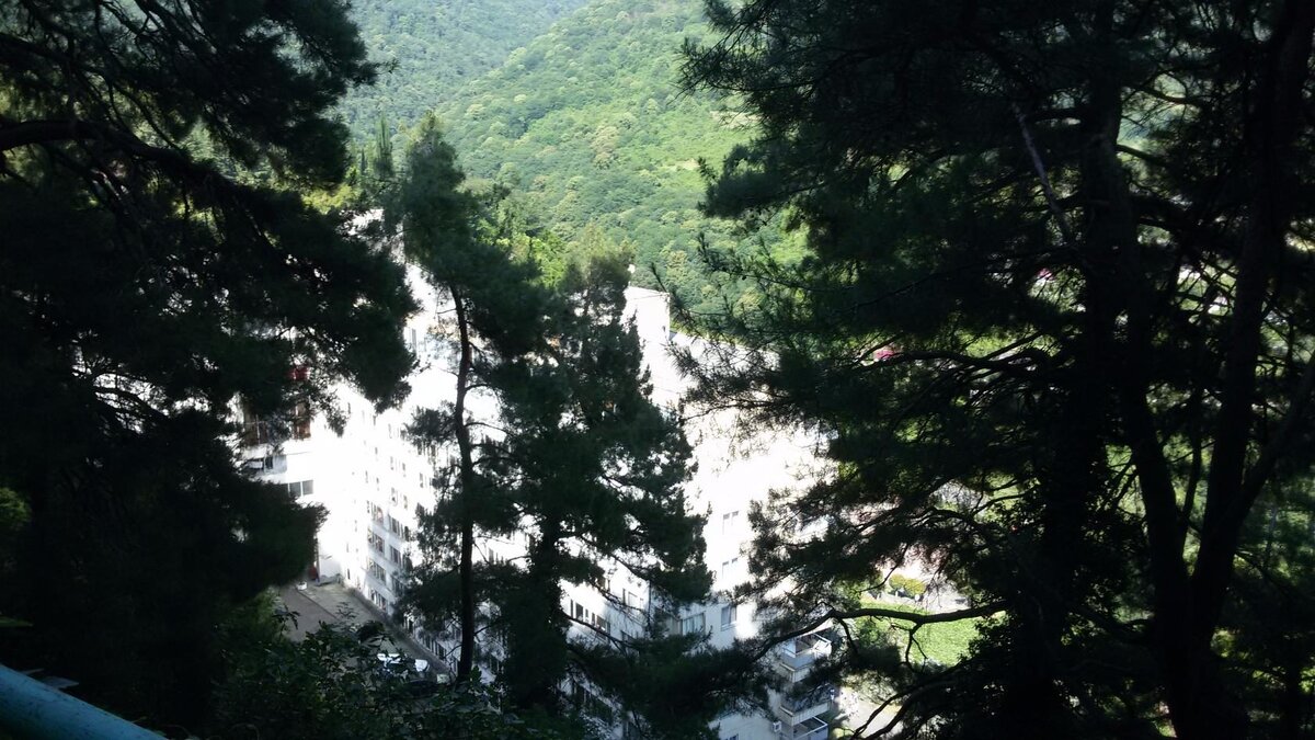 Вид со входа на дачу на наш пансионат