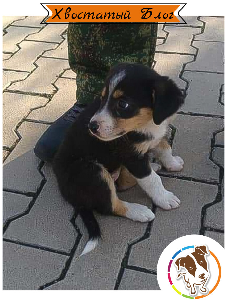 Лили в тот день, когда мы ее нашли